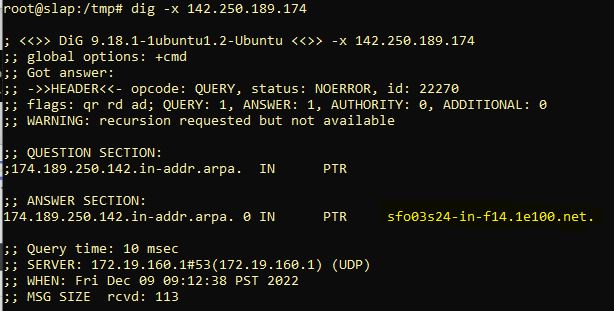 dig-ip-results