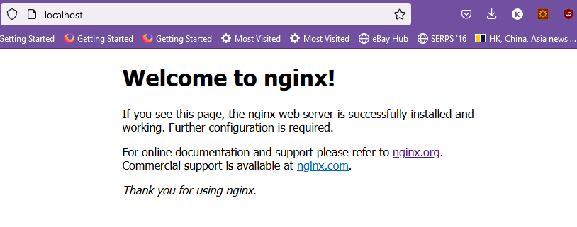Nginx default webpage on Windows