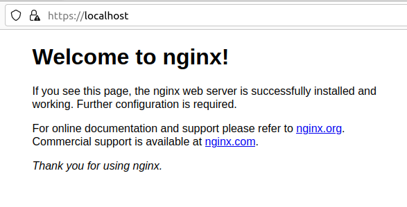 NGINX SSL Site