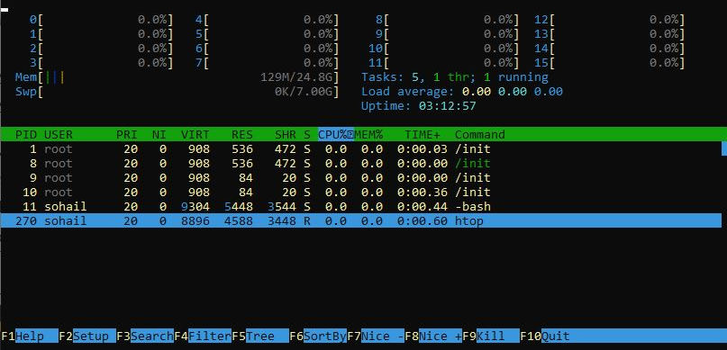 htop Command output on Linux